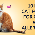 10 best cat food for cats with allergies